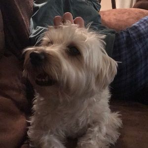 Meet your Posher, Dalton